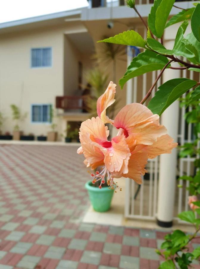 Amalia Apartments Paramaribo Zewnętrze zdjęcie